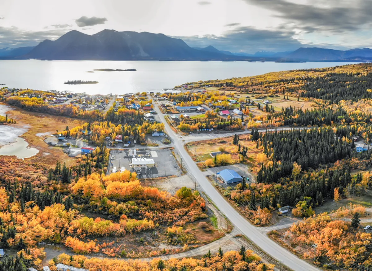 aerial view of town in a forest with mountians in the distance