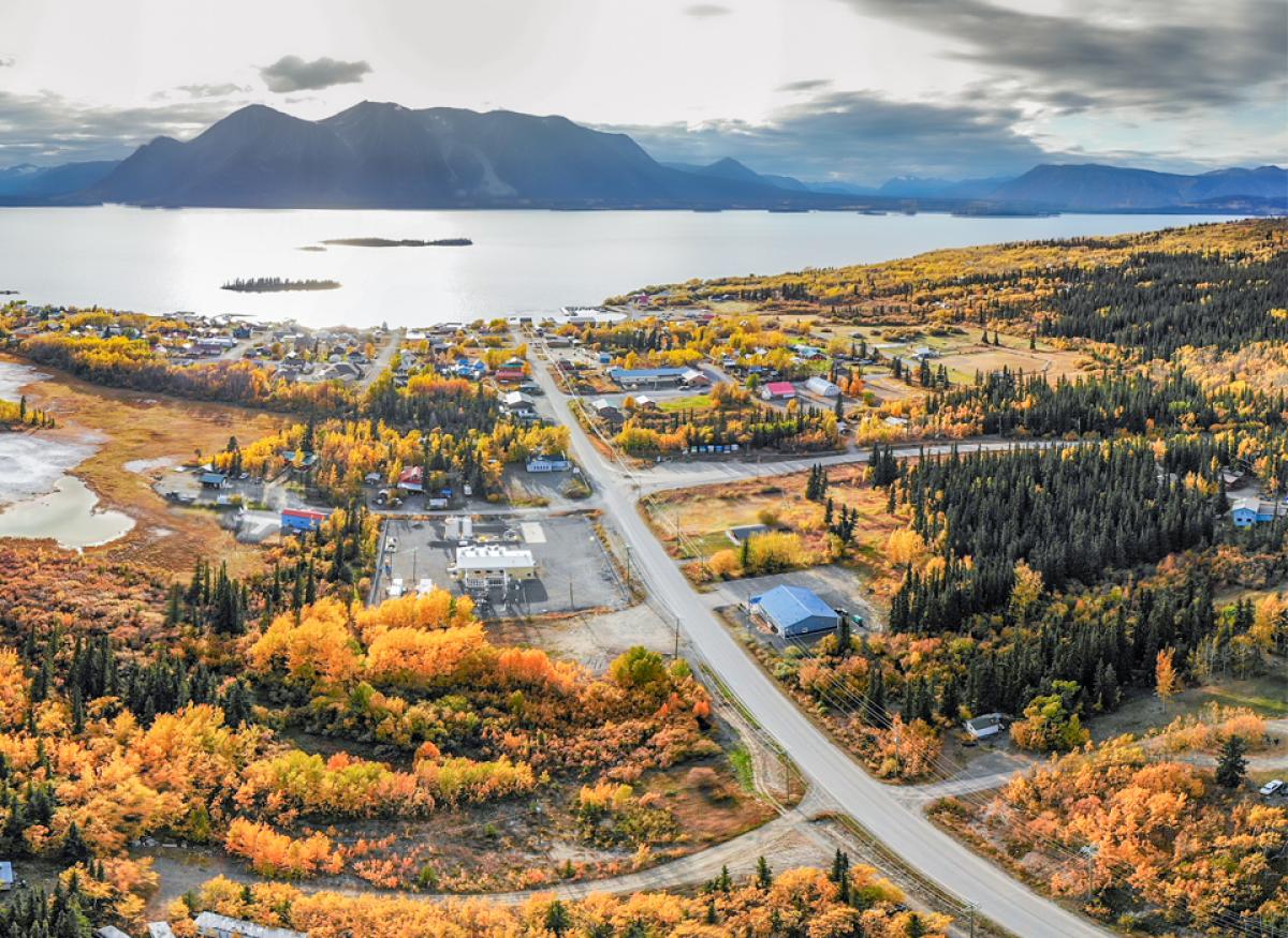 aerial view of town in a forest with mountians in the distance