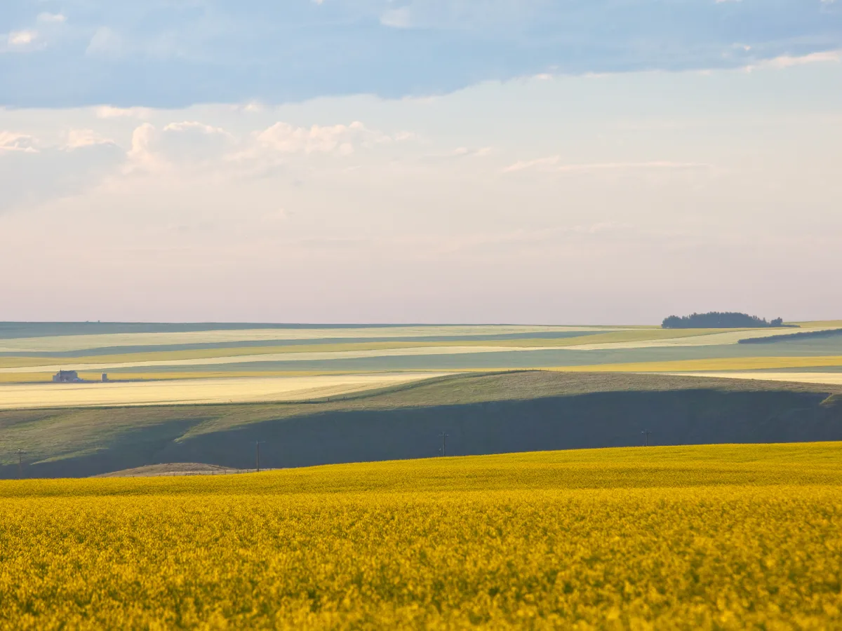 prairies