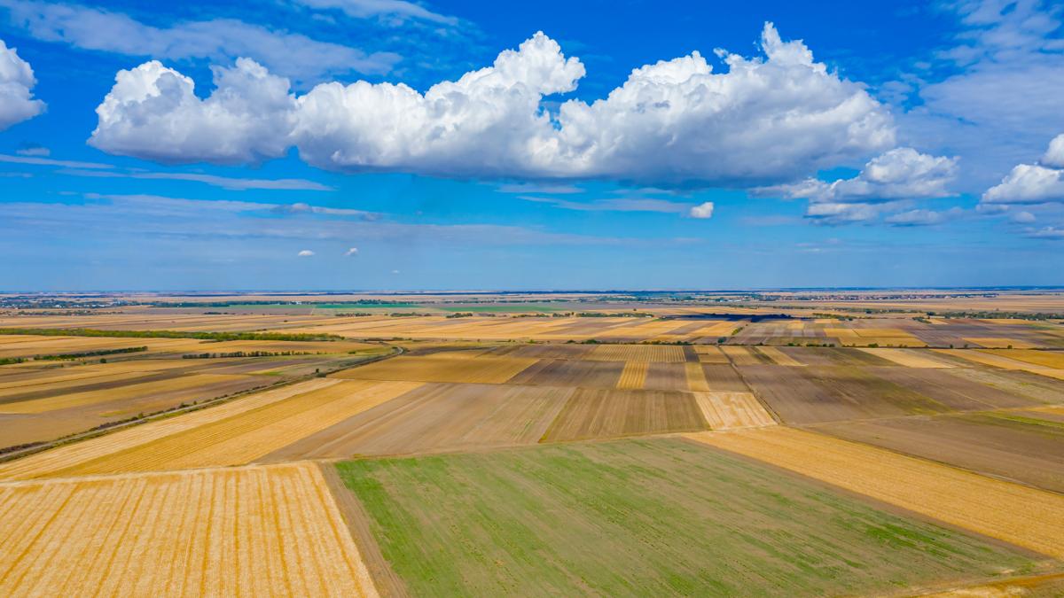 view of farm fields and a blue sky with big clouds